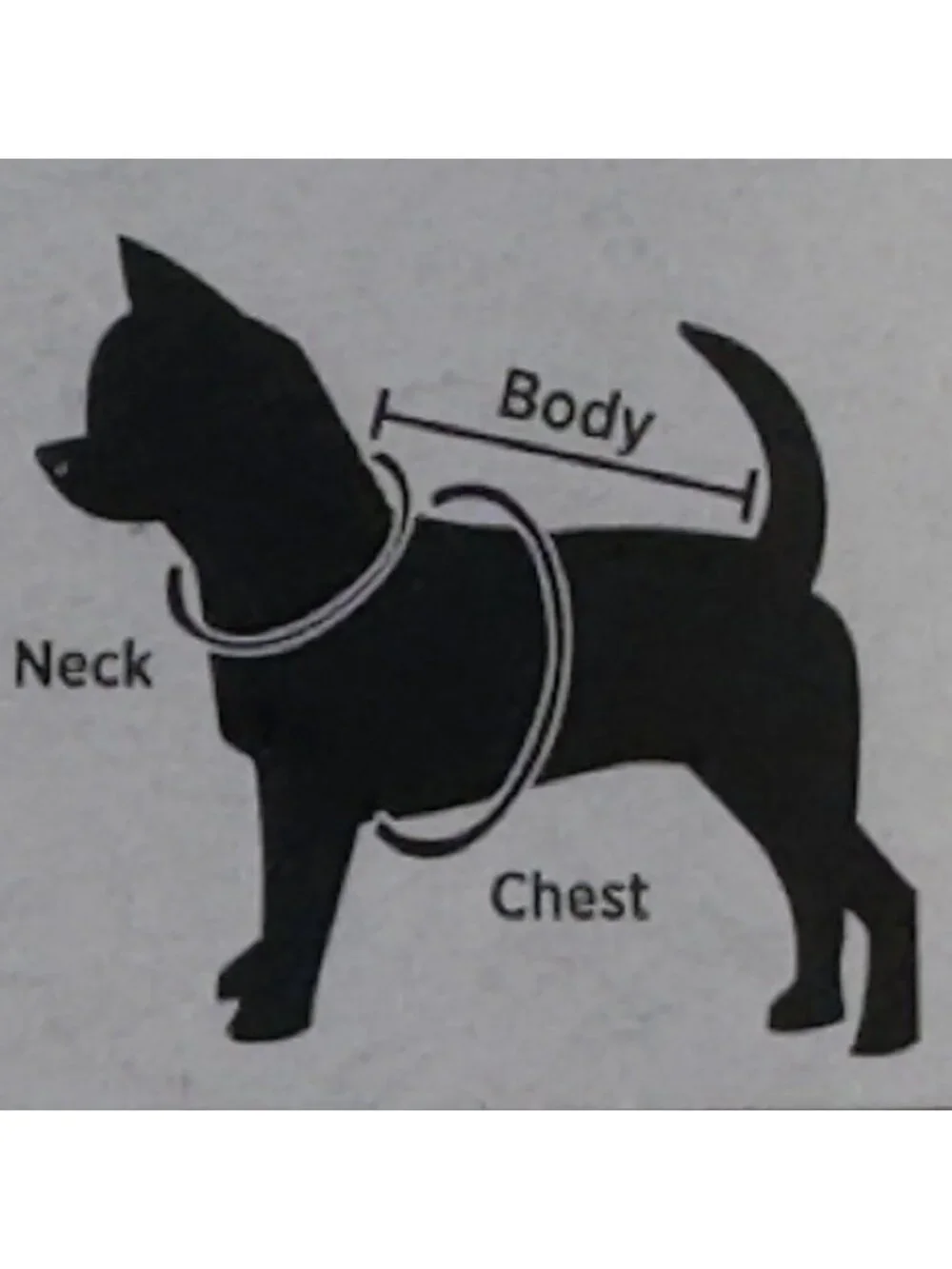 Halloween Ghost and Pumpkin Pet Tee Medium Black Dog Costume Novelty Design NEW